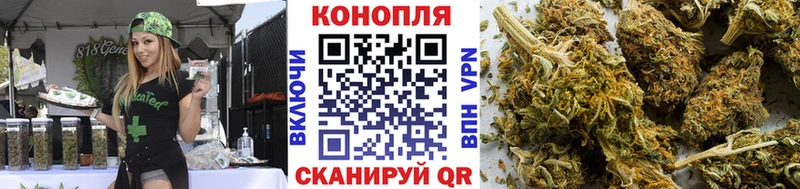 Марихуана сатива купить закладку mega рабочий сайт Юрьев-Польский